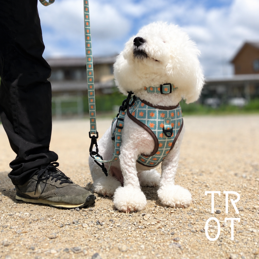 リード | YUZUTSU