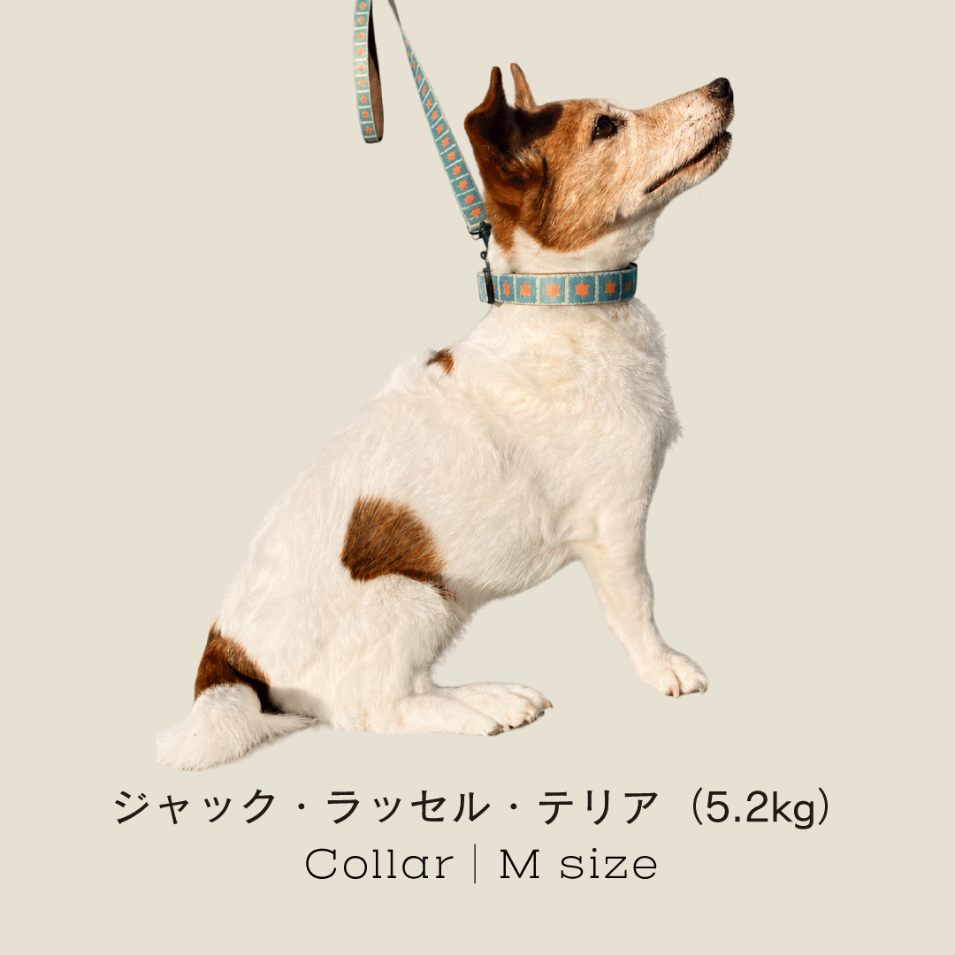 リード | YUZUTSU